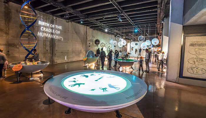 Maropeng — 'Birth of the Cradle of Humankind' interactive exhibition floor