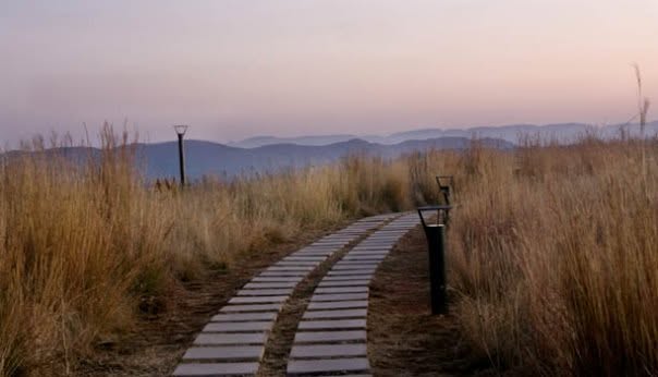 Maropeng — grassland boardwalk with Magaliesberg hills at dawn