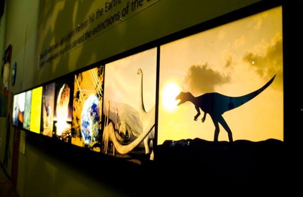Maropeng — illuminated timeline panels tracing life on Earth